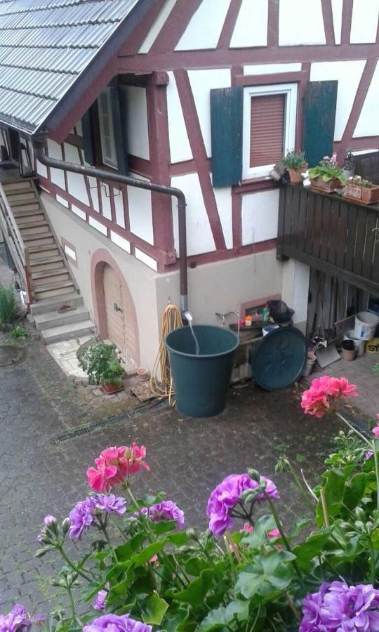 Galerie Ueber Den Gaerten Herbolzheim Exterior foto